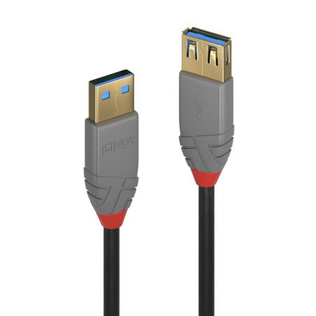 Rallonge USB 3.0 Lindy 1m M F (Gris)