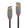 Rallonge USB 3.0 Lindy 1m M F (Gris)