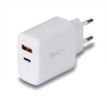 Chargeur secteur Lindy 1xUSB A & 1x USB C 30W (Noir)