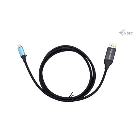 Cable Adaptateur USB-C I-Tec vers DisplayPort 1,5m M M (Noir)
