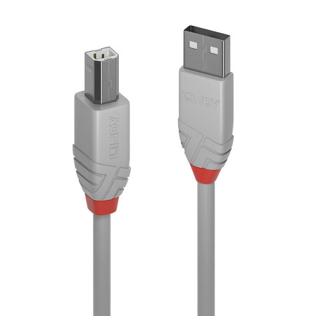 Cable Lindy USB 2.0 vers type B M M 2m (Gris)