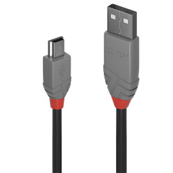 Cable Lindy USB 2.0 type A - Mini B M M 2m (Gris)