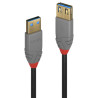 Rallonge USB 3.0 Lindy 2m M F (Gris)