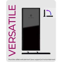 Station d'accueil USB-C 3.0 Icy Box IB-DK2251AC avec alimentation (Noir)